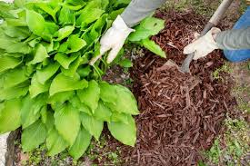 Reduce Weeds With Mulch Knights