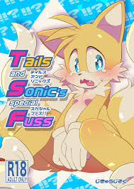 hentaib] Tails and Sonic's special 