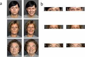 perceived age of male and female faces