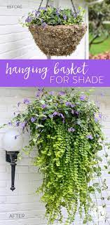 Diy Hanging Basket Plant For Shade Wow