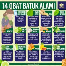 We did not find results for: 14 Obat Batuk Alami Orang Dewasa Dari Bahan Yang Mudah Didapat