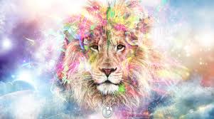 lion with colours wallpapers