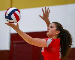 parkland s volleyball shines in epc