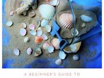 Image result for who hunts beach shells