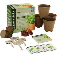 10 best indoor garden kits herb