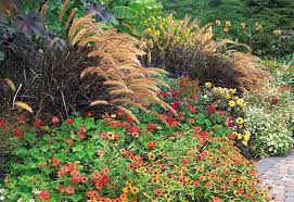 Plants To Pair With Ornamental Grasses