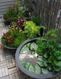 Prodigious Container Gardening Ideas