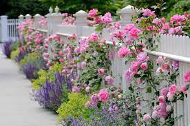 40 beautiful garden fence ideas home