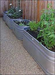 water trough vegetable garden