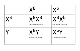 red green colorblindness individuals