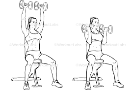 Named after the iconic bodybuilder and movie star, the arnold press adds rotation to a classic shoulder press. Seated Arnold Dumbbell Press Workoutlabs Exercise Guide