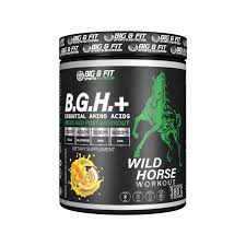 bgh eaa 380 gr big and fit sports