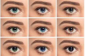 what is the most common eye color in