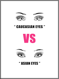 crease and contour eyeshadow asian