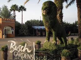 guide to busch gardens ta and