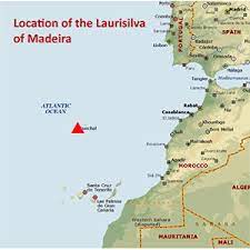 Using the buttons on the top left you can a popular holiday island and an autonomous region of portugal, madeira has a population of around 245,000 and an area of 828 square kilometres. Laurisilva Of Madeira Natural World Heritage Sites