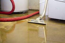 how to prevent mold after water damage