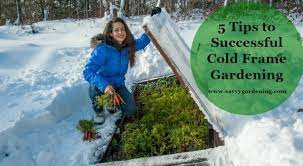 5 Tips To Successful Cold Frame Gardening