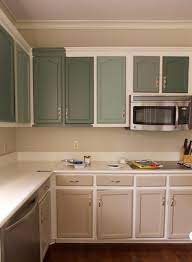 The blue color on the kitchen cabinets. Kitchen Series Going Green In Honor Of Design