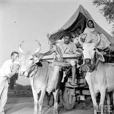 Mass migration during independence of India and Pakistan in 1947 Part - 12  - Old Indian Photos