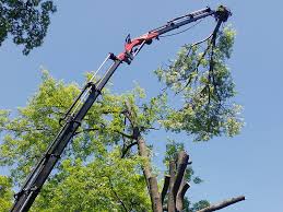 Services - Hanneke Tree Services