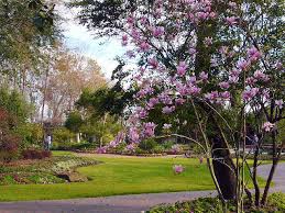 spring tx arboretum botanic gardens