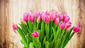 pink tulip flowers bouquet
