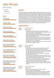 The most important aspect of your cv is its structure. Self Employed Cv Examples Templates Visualcv