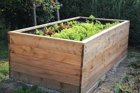 How To Build A Raised Bed Lacoste