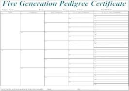 5 Generation Pedigree Certificate Template Website Templates
