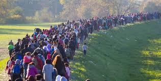 A migránsok már a szerb határ felé tartanak | PannonHírnök