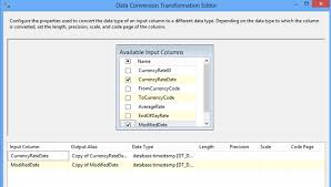 Sql Server Integration Services Data Type Conversion Testing