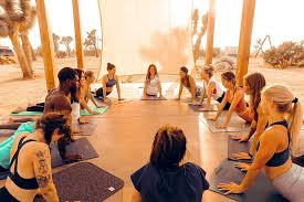 200 hours yoga teacher training