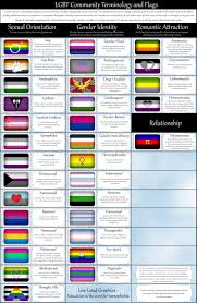 Pride flags are often carried out at pride parades and other visibility events to show identification or support for a particular gender identity or sexuality. Fun With Flags Lisa A Koenecke