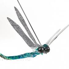 dragonfly catcetera
