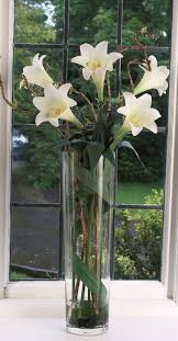 Longi Lily In Tall Tapered Glass Vase