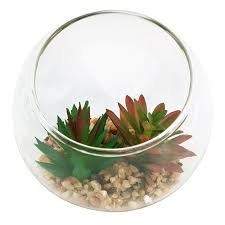 Red Green Succulents In Glass Bowl 4 8