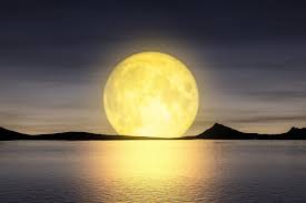 Pleine Lune Bali 2022 - WWSPdDVVWZC71M