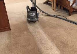 carpet cleaning rainier chem dry