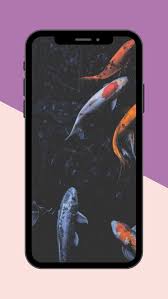 koi fish live wallpaper for android