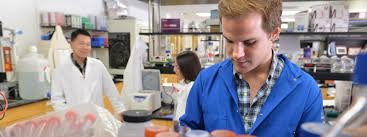 Microbiology, Immunology, & Molecular Genetics | UCLA Graduate Programs