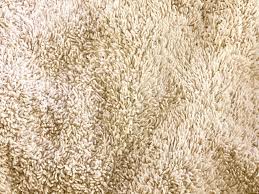 remove old pet urine stains from carpet