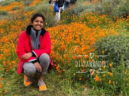 Lake elsinore facilities authority (inactive). How I Long For Poppy Field Adventures Divya Wanders