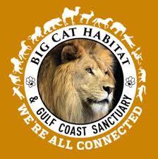 Big cat habitat and gulf coast sanctuary. Cornell Club Of Sarasota Manatee Cornell Cares Alumni Parents And Friends Cornell University