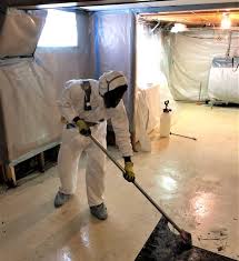 asbestos and vermiculite removal
