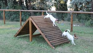 Aree ludiche per cani - CdQ Comitato di Quartiere Giardino di Roma 2017 -