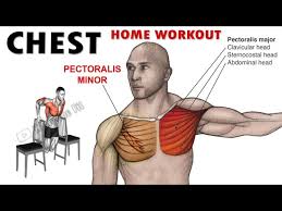 no gym full chest workout at home 7