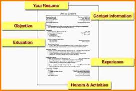 How To Write A Resume With No Job Experience Example  First Time     Resume Examples For First Time Job With No Experience   moveresume com