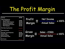 profit margin gross margin and