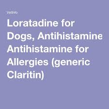 Loratadine For Dogs Antihistamine For Allergies Generic